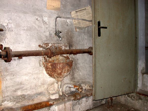 hainholz - 23.jpg