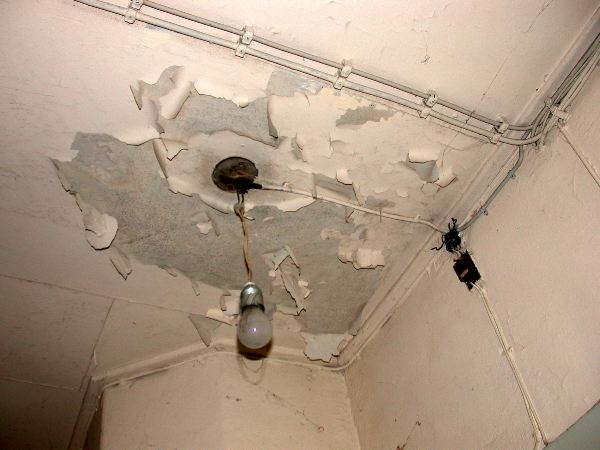 hainholz - 27.jpg