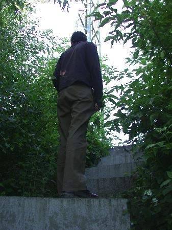hainholz - 04.jpg