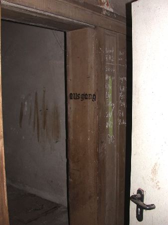 hainholz - 36.jpg