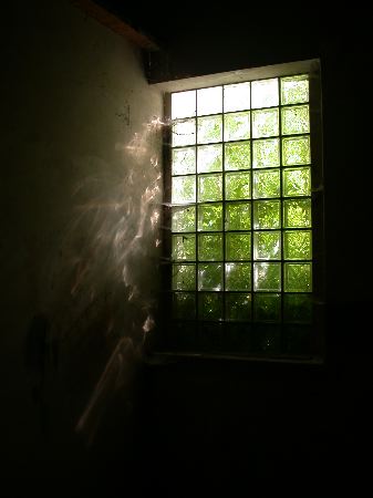hainholz - 37.jpg