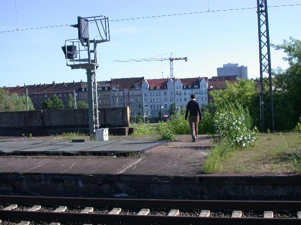 hainholz - 05.jpg