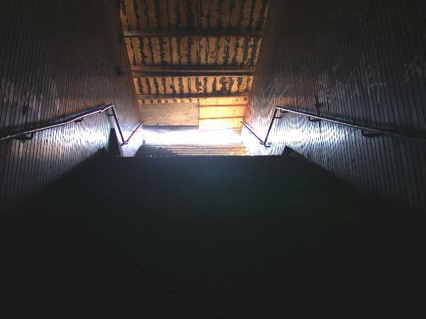 hainholz - 08.jpg