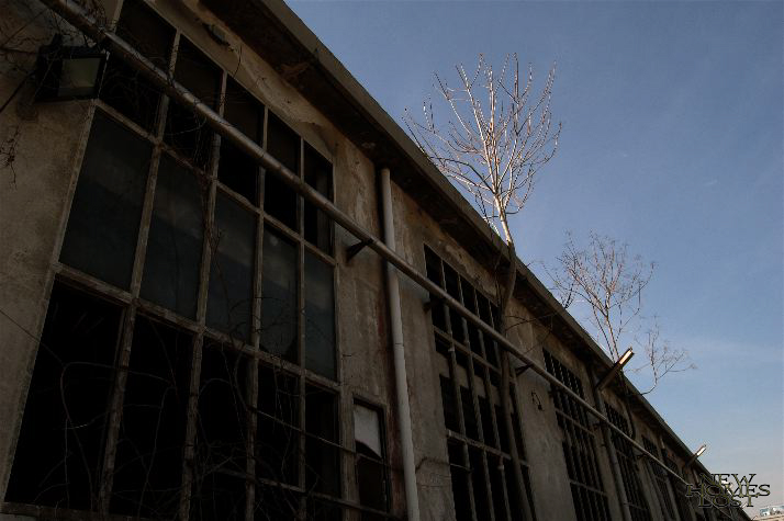monteedison/milano - 30.jpg