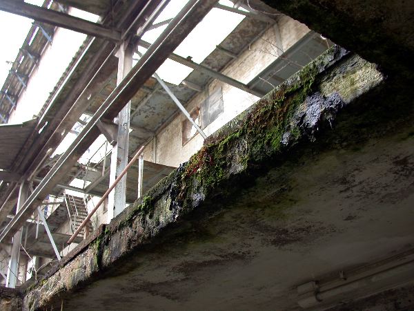 n.sted - 034.jpg