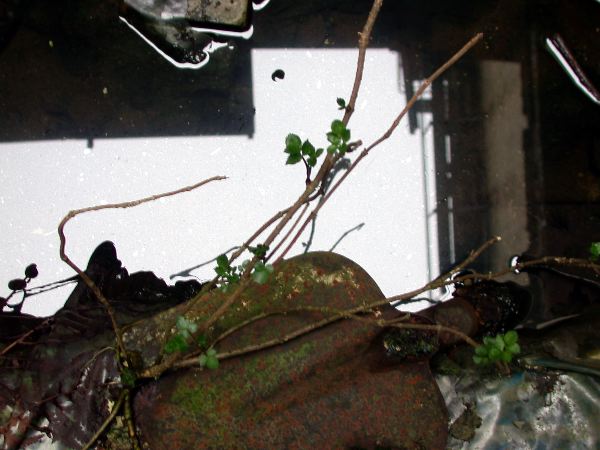 n.sted - 041.jpg