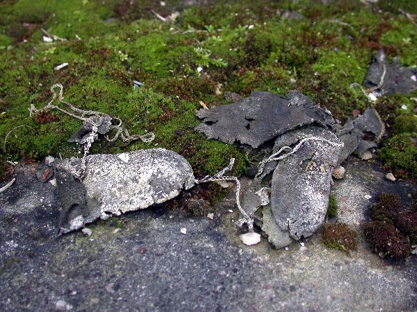n.sted - 062.jpg
