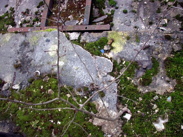 n.sted - 067.jpg