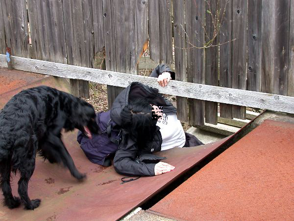 n.sted - 008.jpg