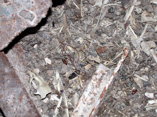 n.sted - 085.jpg