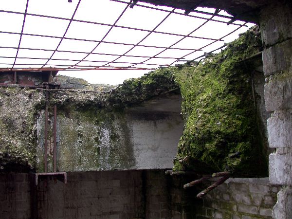 n.sted - 089.jpg