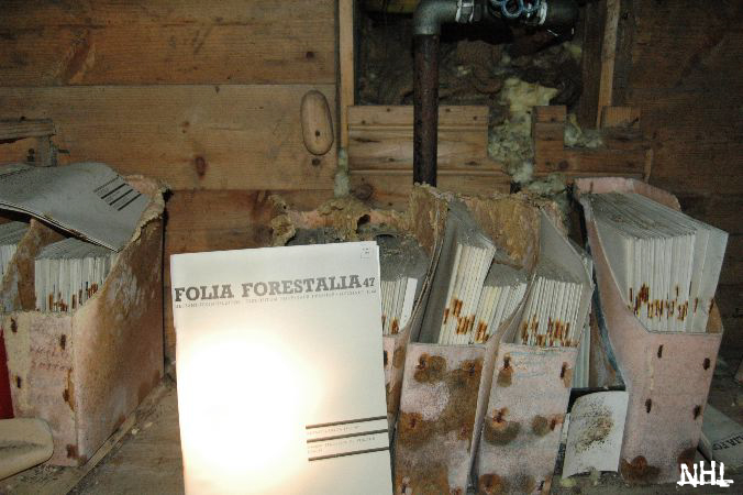 papierfabrik - 30.jpg