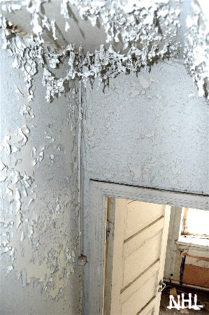 papierfabrik - 39.jpg