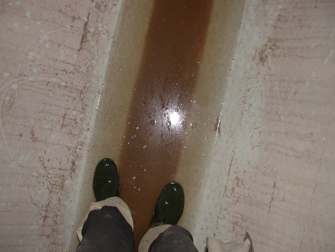 sewer06 - 10.jpg
