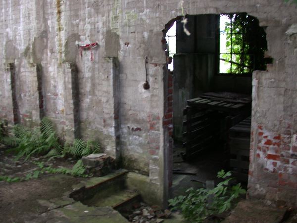 thw - 19.jpg