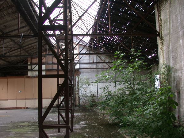 thw - 20.jpg