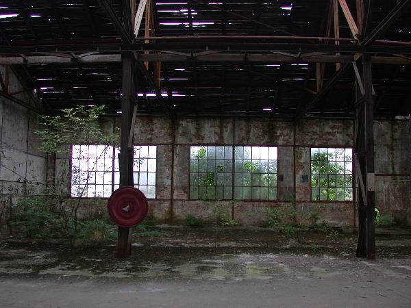 thw - 22.jpg
