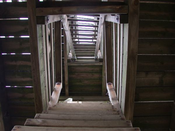thw - 07.jpg