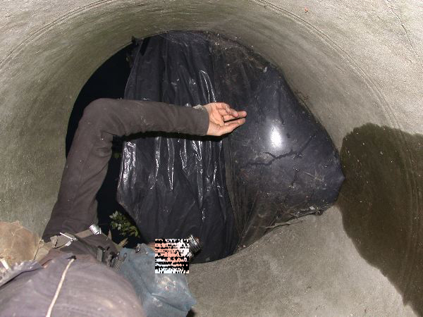 thw - 36.jpg