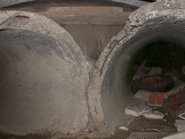 thw - 45.jpg