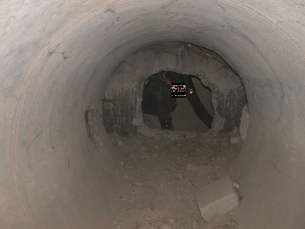 thw - 31.jpg
