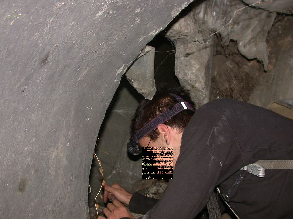 thw - 34.jpg