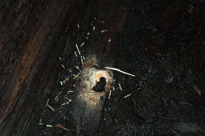 tunnel - 11.jpg