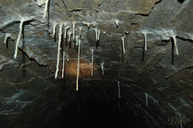 tunnel - 14.jpg