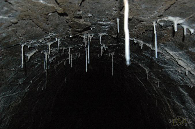 tunnel - 15.jpg