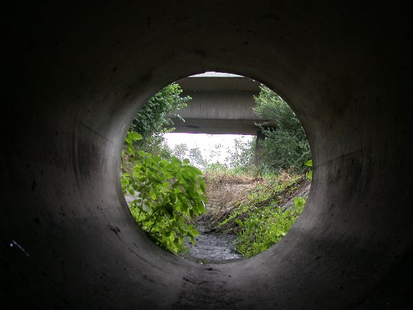 walthershof bruecke - 32.jpg