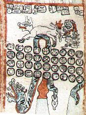 Mayan Codex